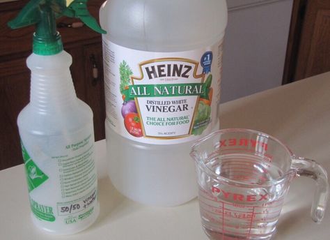 'What Is the Vinegar-to-Water Ratio for Cleaning...?' (via Hunker.com) Diy Shower Stall, Vinegar And Water Cleaner, Shower Stall Curtain, Vinegar Cleaning Spray, Vinegar Cleaner, Stall Shower Curtain, Vinegar Cleaning, Diy Shower, Vinegar And Water