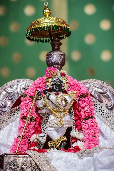 Radharaman Vrindavan, Bet Dwarka, Radharaman Ji, Photos Of Lord Krishna, Radha Raman Ji, Vrindavan Krishna, Radha Raman, Jai Shree Radhe Krishna, Mother Kali