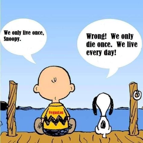 www.gailslogoffalc.com Peanuts Quotes, Charlie Brown Quotes, Patience Quotes, Snoopy Funny, Snoopy Quotes, Snoopy Pictures, Snoopy Love, Charlie Brown And Snoopy, Quotable Quotes