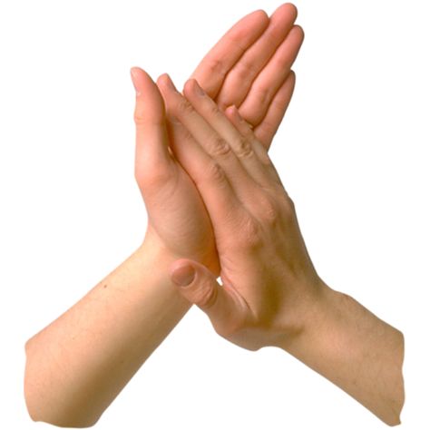 Clapping Hands Reference, Grabbing Hand, Hands Clasped Together, Hands Gesture, Clapping Hands, Hands Reference, Cartoon Hands, Hand Png, Hands Reaching Out