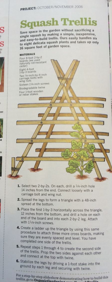 Squash trellis Trellis With Lights, Planting Zucchini, Trellis With Planter, Squash Trellis, Dream Backyard Garden, Vertical Vegetable Garden, Potager Garden, Small Backyard Gardens, Garden Walkway