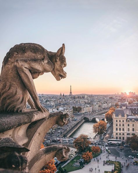 Paris P@RIS #ThisisParisさんはInstagramを利用しています:「The view from the towers of Notre-Dame beautifully photographed by @patrickcolpron #thisisparis always something new to discover, taste and…」 Torre Eiffel Paris, Travel France, France Photos, Paris Photography, Walking Sticks, France Travel, Saint Louis, Oh The Places Youll Go, Old Photos