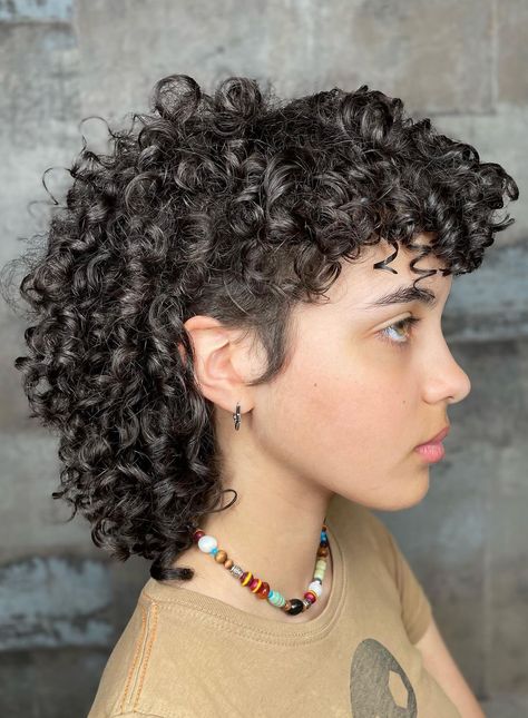 Are you ready to rock a hairstyle that’s equal parts chic and edgy? Get ready to dive into the world of mullet curls!  From shoulder-length brunettes to rich chocolate voluminous curls, there’s a mullet curl style to suit every personality and preference.  Let’s get into the list of 22 mullet curl hairstyle ideas! Naturally Curly Mullet, Cute Curly Mullet, 4b Mullet, 3b Curly Hair Mullet, Lesbian Mullet Haircut Curly, "mixie" Haircut Curly, Medium Curly Mullet, 3c Shag Haircut, Curly Mohawk Mullet