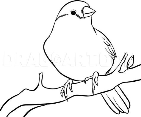 Finch Drawing, State Project, Draw A Bird, Bird Outline, Yellow Finch, Sparrow Art, Geometric Bird, Finches Bird, Boho Birds