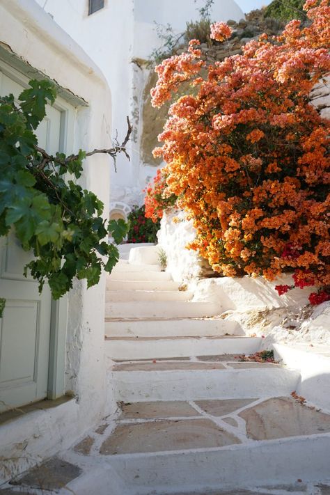 Los Greece, Greece Architecture, European Summer Aesthetic, Summer Destinations, Nature Garden, A Whole New World, European Summer, Europe Destinations, Travel Inspo