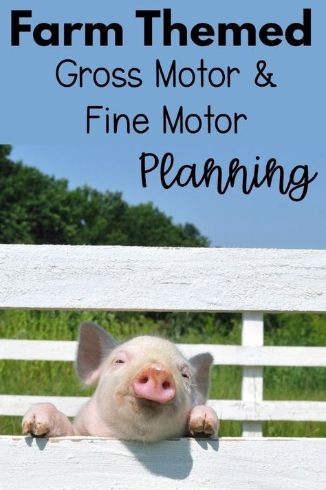 Farm Themed Motor Planning Ideas | So many great ideas for farm themed fine motor and farm themed gross motor ideas.  I love the animal moves and the cute fine motor activities!  This is perfect for a classroom, therapy, or home! Motor Planning Activities, Physical Development Activities, Farm Activities Preschool, Pediatric Physical Therapy Activities, Farm Lessons, Farm Animals Activities, Farm Theme Preschool, Best Themes, Gross Motor Activity