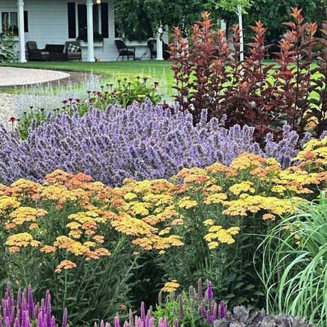 Proven Winners on Instagram: "It's always fun to see what's blooming in the garden of Laura of @gardenanswer in Eastern Oregon. In this full sun bed, she has layered (from back to front): Ginger Wine® ninebark, 'Cat's Meow' catmint, 'Firefly Peach Sky' yarrow, Magic Show® 'Purple Illusion' spike speedwell, Prairie Winds® 'Niagara Falls' switch grass and Rock 'n Grow® 'Back in Black' sedum. What a fun parade of summer to fall color, plus it draws in the pollinators, too!" Firefly Peach Sky Yarrow, Purple Illusion, Ginger Wine, Peach Landscape, Yarrow Plant, Landscape Planning, Garden Answer, Sun Bed, Flower Garden Plans