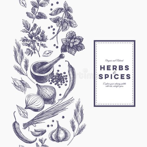 Vector background with hand drawn herbs and spices. Organic and fresh spices ill , #Ad, #hand, #drawn, #Vector, #background, #herbs #ad Spices Illustration, Spices Packaging, Menue Design, Seasoning And Spice, Food Sketch, Spice Labels, Fresh Spices, Herbs And Spices, Hand Drawn Vector