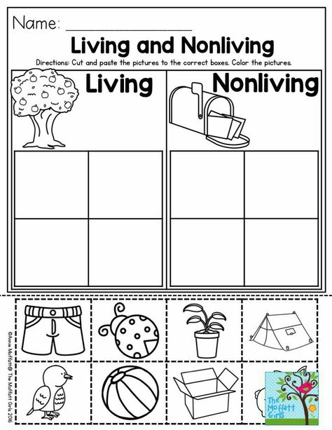 Preschool Living And Nonliving, Living And Nonliving Preschool, Living And No Living Things Activities, Living And Nonliving Things Activities, Living Vs Non Living Kindergarten, Living Vs Nonliving Preschool, Living Things Activities Preschool, Living Vs Nonliving Kindergarten, Living Things And Non Living Things Kids