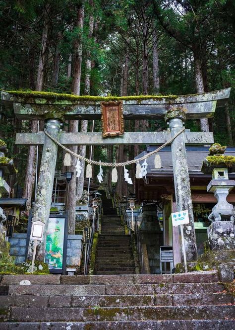 Japanese torii-gate made of stones at Mt. Ontake, Japan. Gokayama, Japanese Countryside, Japanese Travel, Go To Japan, Gunma, Niigata, Toyama, Shiga, Sustainable Tourism