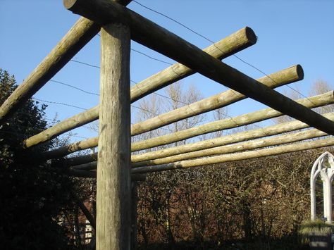 Simple pole pergola construction. Gum Pole Pergola, Utility Pole Projects, Telephone Pole Ideas, Pergola Construction, Dog Friendly Garden, Telephone Pole, Pole House, Ranch Weddings, Brick Path