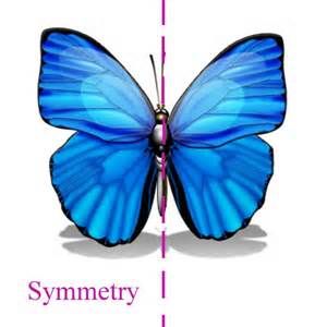 Butterflies~ Symmetry~ Symmetry Math, Powerpoint Examples, Symmetry Worksheets, Balance In Life, Symmetry Design, 3rd Grade Math Worksheets, Classroom Organisation, Geometric Pattern Art, Art Basics