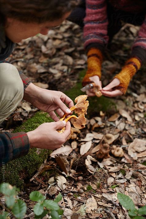 Forest Preschool, Mushroom Foraging, Mushroom Cottage, Mushroom Hunting, Wild Food, Walk In The Woods, In The Forest, Simple Living, Permaculture