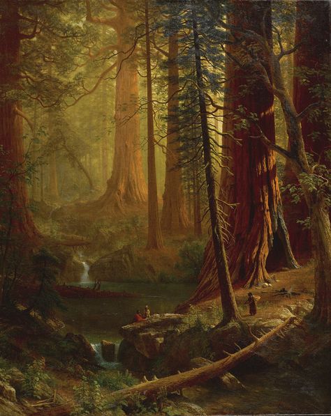 Giant Redwood Trees of California ~ artist Albert Bierstadt, c.1874. Oil on canvas, Hudson River School #art #landscape Albert Bierstadt Paintings, Redwood Trees, Albert Bierstadt, Hudson River School, California Poster, Redwood Tree, California Wall Art, Redwood Forest, Forest Painting