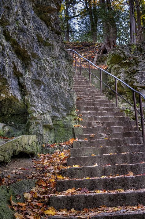 Steps to the Elora Gorge. Ontario Canada. October 13, 2012. http://www.ontariotrails.on.ca/trails-a-z/elora-gorge-trail Hiking Ontario, Elora Gorge, Elora Ontario, Canadian Identity, Beautiful Canada, O Canada, Beautiful Places On Earth, True North, Mind's Eye