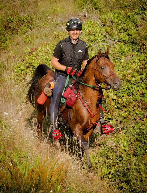 RW customer and gift card winner, David L. sent us this photo of his Arabian, Prince.    "That photo was taken at an endurance ride in Western Washington in August… I just started him in endurance this year and he's completed 55 Limited Distance miles so far. Powerful horse, but taking it slow on him to build him up over time. Very fast as well, one of the fastest Arabians I've ever ridden…" Endurance Horse, Endurance Riding, Taking It Slow, Western Washington, Horse Rider, Dream Life, Riding Helmets, Saddle, This Year