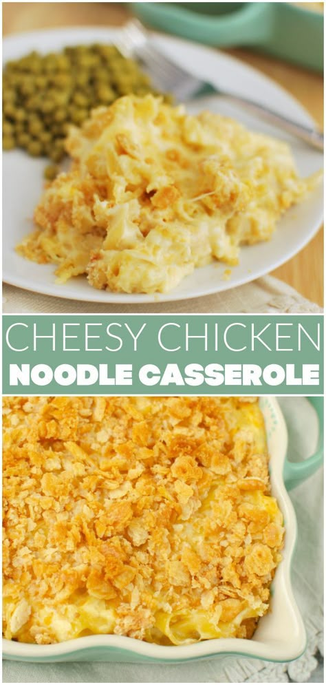 Cheesy Chicken Noodle Casserole – creamy pasta with chicken and a crunchy topping! This is an easy weeknight meal the whole family will love! Cheesy Chicken Noodle Casserole, Chicken Noodle Casserole Recipe, Pasta And Chicken, Fake Ginger, Cheesy Chicken Casserole, Chicken Pasta Casserole, Pasta With Chicken, Noodle Casserole Recipes, Chicken Noodle Casserole