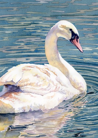 Colorado Watercolor Society - Lorraine Watry- 3 day ZOOM workshop “Painting Reflections in Water with Swan” March 25, 26, 27, 2021 Swan Painting, Swans Art, Reflection Painting, Blue Things, Watercolor Workshop, 수채화 그림, White Swan, Bird Pictures, Beginner Painting