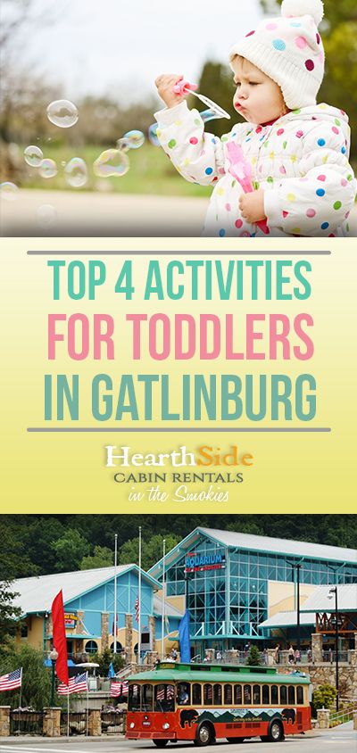 Top 4 Activities for Toddlers in Gatlinburg Gatlinburg Tennessee Christmas, Gatlinburg Tennessee Restaurants, Gatlinburg Tennessee Cabins, Tennessee Family Vacation, Things To Do In Gatlinburg, Gatlinburg Tennessee Vacation, Tennessee Christmas, Smokey Mountains Vacation, Ober Gatlinburg