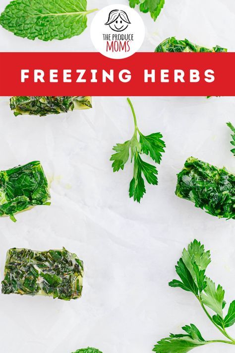 Freezing herbs allows you to have fresh herbs all year long, even in the middle of winter when the garden isn’t producing. Don’t let those extra herbs go to waste this summer, learn how to freeze herbs so you can have fresh flavor all year long. Learn how to make these Ice cube herbs from The Produce Moms! How To Freeze Herbs, Freeze Herbs, Freezing Fresh Herbs, Preserve Fresh Herbs, Compound Butters, Cooking With Fresh Herbs, Flavored Ice Cubes, Freezing Herbs, Flavor Ice