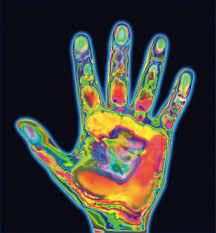 Thermal Imaging Shows Effects of Cold Analogous Color Scheme, Wal Paper, Astrology Aquarius, Dance Project, School Murals, Tea Design, Thermal Imaging, The Human Body, Hand Art