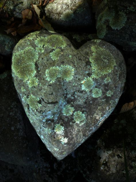 Caillou Roche, Heart Shaped Rocks, Heart In Nature, Fb Cover, I Love Heart, Love Rocks, Airbrush Art, Beating Heart, With All My Heart