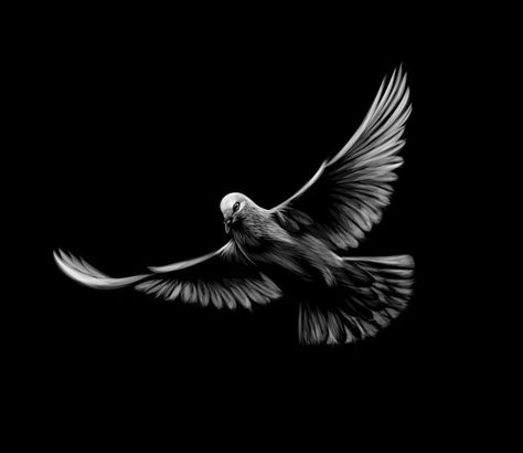 Flying white dove on a black background.... | Premium Vector #Freepik #vector #background #wedding #abstract #love Flying Bird Silhouette, Dove Tattoo Design, Dove Tattoos, Heaven Tattoos, Dove Pictures, Dove Tattoo, Bird Logo Design, White Dove, Bird Silhouette