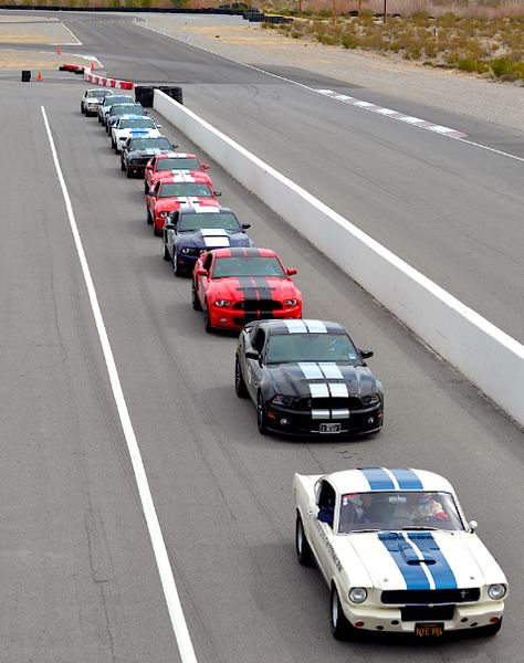 A group of Shelby Mustangs about to go on track at Spring Mountain. Mustangs Cars, Mustang Gt500, Ford Mustang Shelby Gt500, Classic Mustang, Shelby Gt, Image Swag, Track Car, Ford Mustang Shelby, Shelby Cobra