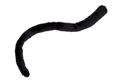 Cómo hacer un disfraz de gato - 5 pasos (con imágenes) Cat Tail Costume, Cats Costume, Black Cat Halloween Costume, Cat Costume Kids, Black Cat Costume, Cat Costume Diy, Chat Diy, Panther Cat, Black Cat Costumes