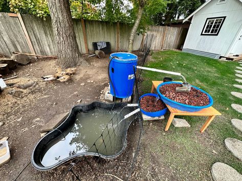 Duck Pool With Drain, Duck Pond Filter, Pond Filter System, Duck Feed, Backyard Poultry, Duck Pond, Filter Design, So Creative, Garden Bed