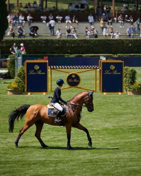 "Galloping through life with style—because winning isn't just about speed, it's about looking fierce while you do it. 🐎✨" By @l_enfant_terrible_2 #RaceDayStyle #EquestrianChic #FashionOnTheTrack #GallopInStyle #WinningLook #RunwayToRaceway #lenfantterrible2 #legacybuilder #stylist__yves #StyleInspiration #ChicAdventures #FashionExplorer #fashionstylist #collaboration #HorsePowerFashion #ChicAndFearless #poloralphlauren #jacquessoloviereparis #ralphlauren #loropiana #poleneparis #mass... Saving And Investing, Horse Riding Aesthetic, Equestrian Aesthetic, Equestrian Chic, Financial Plan, Compound Interest, Building Wealth, Horse Aesthetic, Super Rich Kids