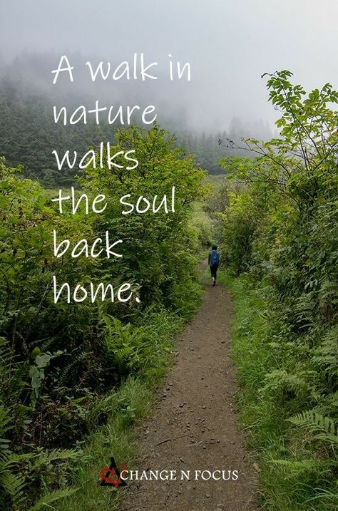 Spend Time In Nature Quotes, Nature Is Home Quotes, Beautiful Quotes About Nature, Evening Walk Quotes Nature, Go For A Walk Quotes, Back To Nature Quotes, Nature Inspired Quotes, Time In Nature Quotes, Nature Motivational Quotes