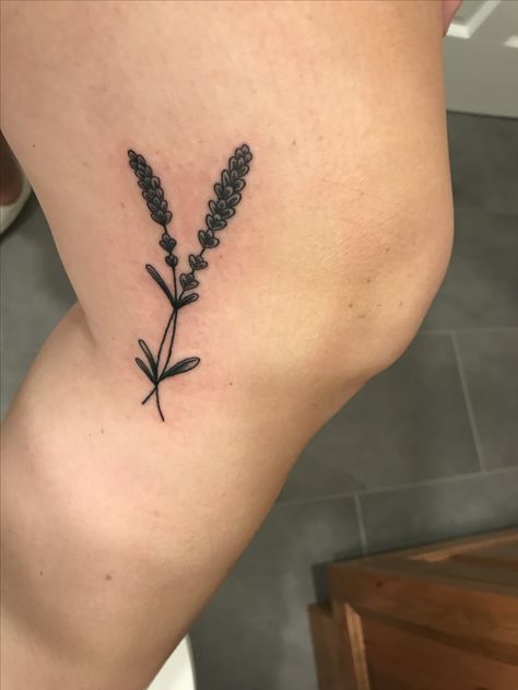 Lavender tattoo inside of knee. Vine Under Knee Tattoo, Inside Of Knee Tattoo, Vine Tattoos Around Knee, Nature Knee Cap Tattoo, Lavender Knee Tattoo, Botanical Knee Wrap Tattoo, Lavender Tattoo, Tattoo Filler, Knee Tattoo