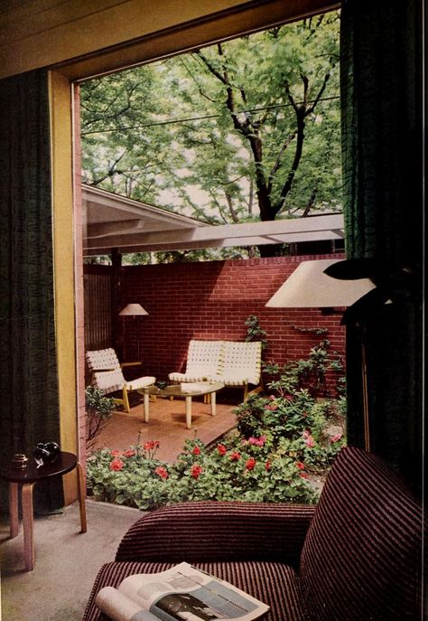 1970s Garden, 50s Garden, Outdoor Privacy Wall, Curbside Appeal, Privacy Wall, Outdoor Privacy, Sunrooms, Cat Room, Vintage Pictures