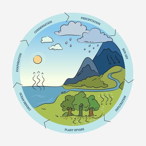 Hand drawn water cycle information | Free Vector #Freepik #freevector #infographic-template #nature-template #flat-infographic #nature-infographic Water Cycle Aesthetic, Water Cycle Drawing Art Projects, Water Cycle Drawing, Nature Infographic, Water Cycle Process, Flat Infographic, Nature Template, Water Cycle Diagram, Hydrological Cycle