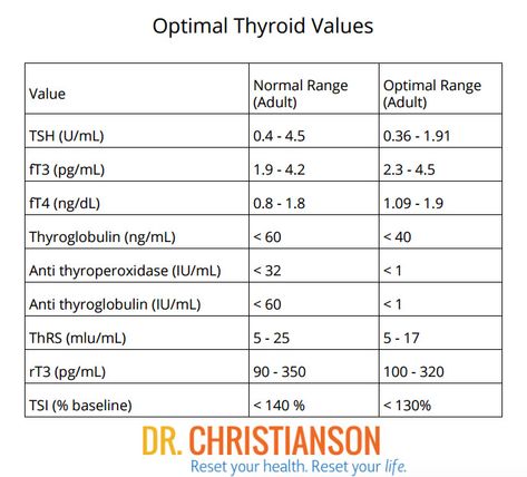 What happens when your Thyroid Stimulating hormone (or TSH) gets too low? Or, what happens when you are told to ignore it when it is that low? Some might say that you can ignore your TSH levels, but others will tell you that there are real dangers if you do. Click here, and let's walk through this complex topic & teach you a bit more about your TSH and what it means for your health. #thryoid #thryoidhealth #thryoiddiseaase Nut Board, Optimal Thyroid Levels, Low Thyroid Remedies, Thyroid Remedies, Thyroid Levels, Thyroid Test, Hashimotos Disease, Thyroid Medication, Thyroid Issues