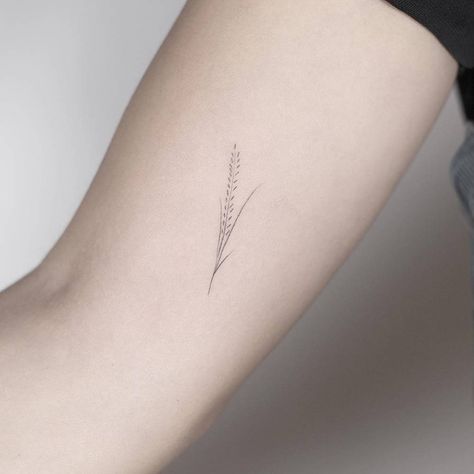 Dainty Wheat Tattoo, Tiny Wheat Tattoo, Wheat Stalk Tattoo, Rice Plant Tattoo, Rice Branding, Farm Tattoo, Wheat Tattoo, Rice Plant, Lavender Tattoo