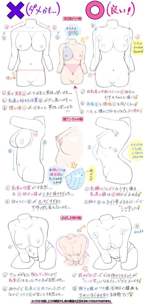 Female Anatomy Reference, Drawing Female Body, Anatomy Tutorial, Human Anatomy Drawing, Body Drawing Tutorial, Manga Drawing Tutorials, Human Anatomy Art, Body Reference Drawing, 캐릭터 드로잉