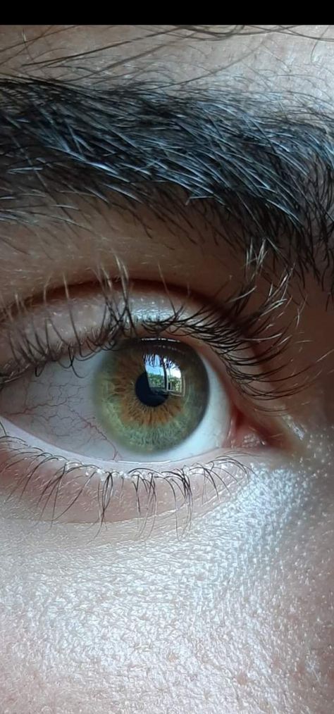 Hazel eyes, green, brown, grey... Hazel Grey Eyes, Hazel Eyes Green, Grey Green Eyes, Green Brown Eyes, Spn Dr, Dr Aesthetic, Hazel Green, Eyes Wallpaper, Gray Eyes