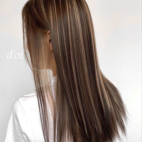 Shine Line Hair, Melir Hair Brown, Korean Highlights, Japanese Hair Color, Black Hair Balayage, Brown Hair Looks, Brown Hair Inspo, Hair Inspiration Long, Brunette Hair With Highlights