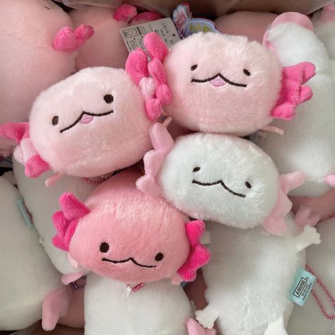 Plushie Keychain, Axolotl Cute, Kawaii Plush, Kawaii Plushies, Cute Stuffed Animals, Cute Toys, Cute Plush, Plush Animals, Cute Dolls