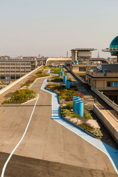 Building Rooftop, New York High Line, Urban Forest, Wellness Activities, Renzo Piano, Raised Planter, Landscape Features, Rooftop Garden, Public Garden