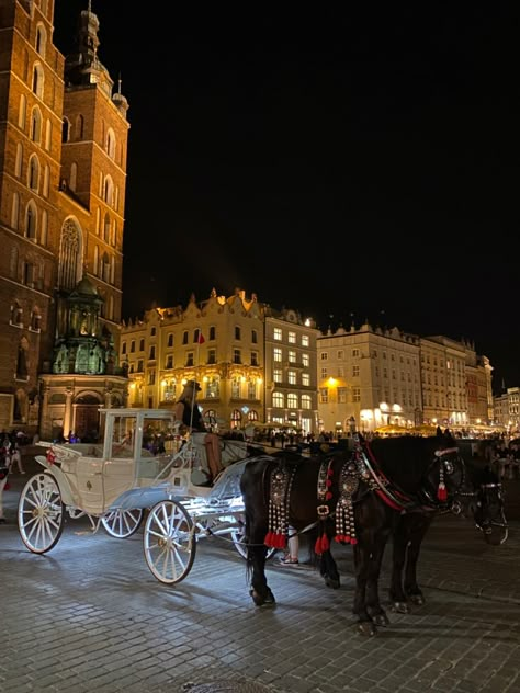 Krakow Christmas Market, Krakow Summer, Poland Vacation, Day Trips From Paris, Poland Culture, Travel Poland, Visit Poland, Day Trip From Paris, Krakow Poland