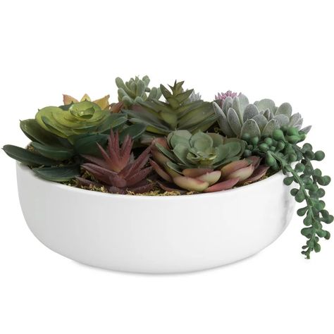 Artificial Succulent Arrangements, Plants In Baskets, White Ceramic Planter, Concrete Bowl, Ceramic Planter Pots, Mini Succulents, Artificial Succulents, Ceramic Plant Pots, String Of Pearls