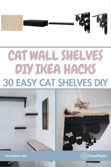 Transform Ikea products into stunning Cat Wall Shelves with this Cat Wall Shelves DIY Ikea Hacks. And discover our guide with 30 ideas featuring Easy Cat Wall Stairs and clever cat shelves diy climbing wall ideas. Click to explore them all. Cat Wall Shelves Diy, Cat Shelves Diy Climbing Wall, Cat Shelves Diy, Cat Wall Stairs, Diy Cat Wall Ideas, Diy Cat Shelves, Ikea Cat, Diy Climbing Wall, Floating Cat Shelves