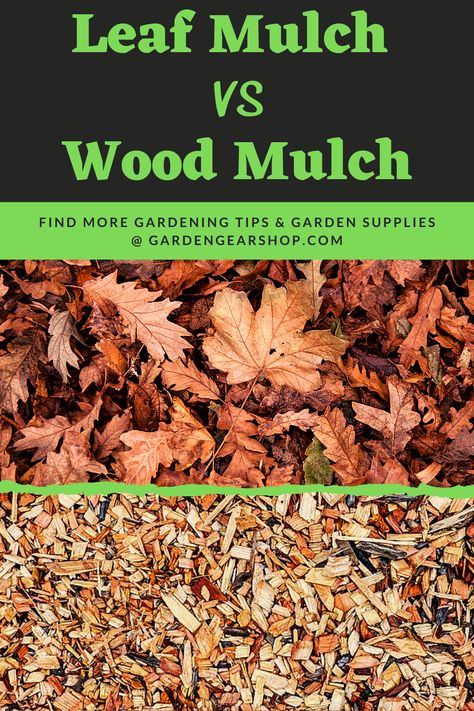 Leaf Mulch vs Wood Mulch >> VISIT LINK TO LEARN MORE @GardenGearShop.com << #gardengearshop #gardening #garden #leaves #leaf #fall #yard Leaf Mulch, Fall Yard, Garden Prepping, Compost Bins, Diy Compost, Garden Wood, Wood Mulch, Video Garden, Potager Garden