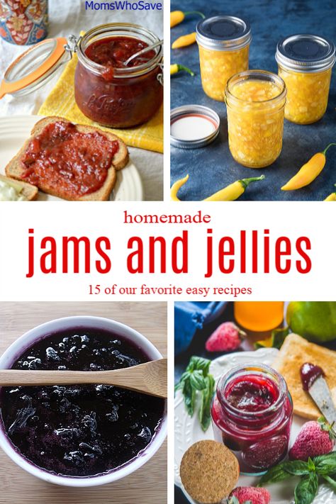 Make Your Own Jams and Jellies -- 15 Easy Recipes | MomsWhoSave.com  #jams #jelly #canning #recipes #canningrecipes #jam #jellies Muscidime Jelly, Jelly Canning Recipes, Easy Jams, Jams Recipes, Grape Jam Recipe, Watermelon Jam, Homemade Fig Jam, Peach Jam Recipe, Banana Jam