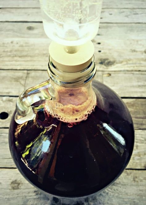 Elderberry Mead, Mead Recipes, Elderberry Honey, Apothecary Diy, Hippie Juice, Mead Wine, Mead Recipe, Fermented Honey, Honey Wine