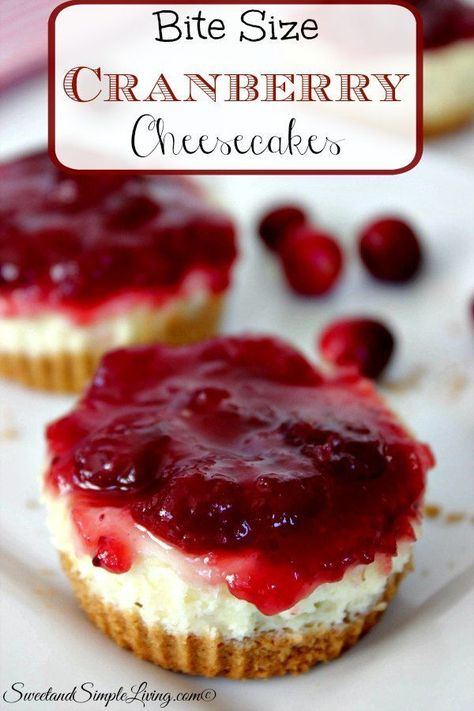 Bite Size Holiday Desserts, Mini Cranberry Cheesecake, Cranberry Cheesecake Recipes, Individual Cheesecakes, Cranberry Cheesecake, Biscuits Graham, Diy Easy Recipes, Nice Food, Delicious Thanksgiving