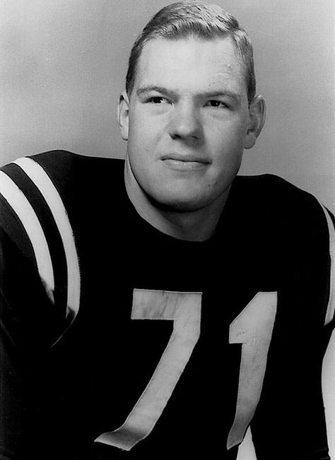 Merlin Olsen Merlin Olsen, College Football Players, Football History, Football Hall Of Fame, Sport Hall, Tv Actors, Professional Football, Vintage Football, Sports Stars